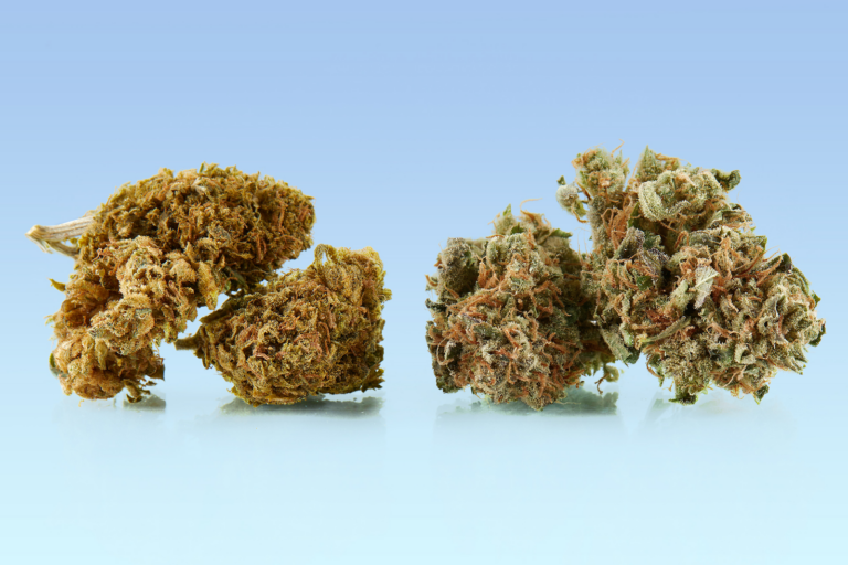 420 flower