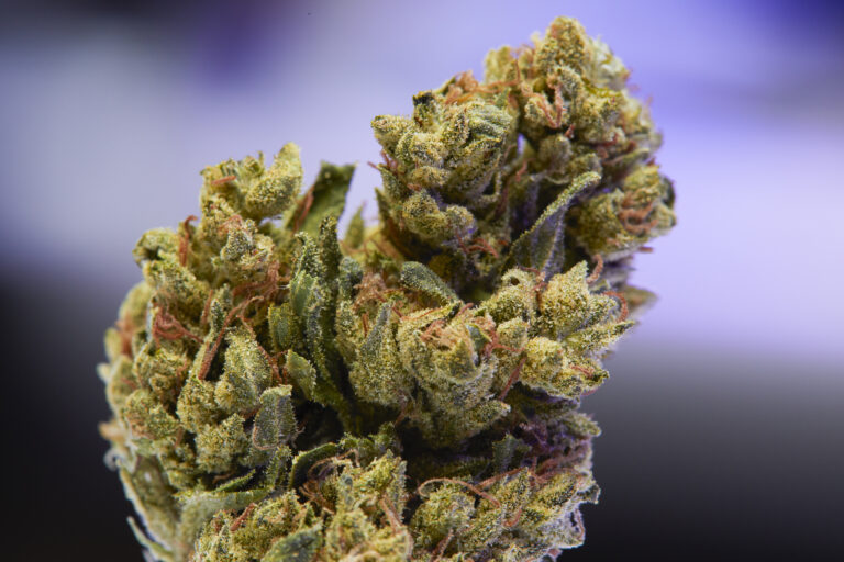 Cannabis flower