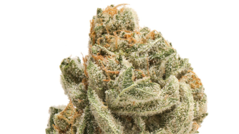 Cannabis flower