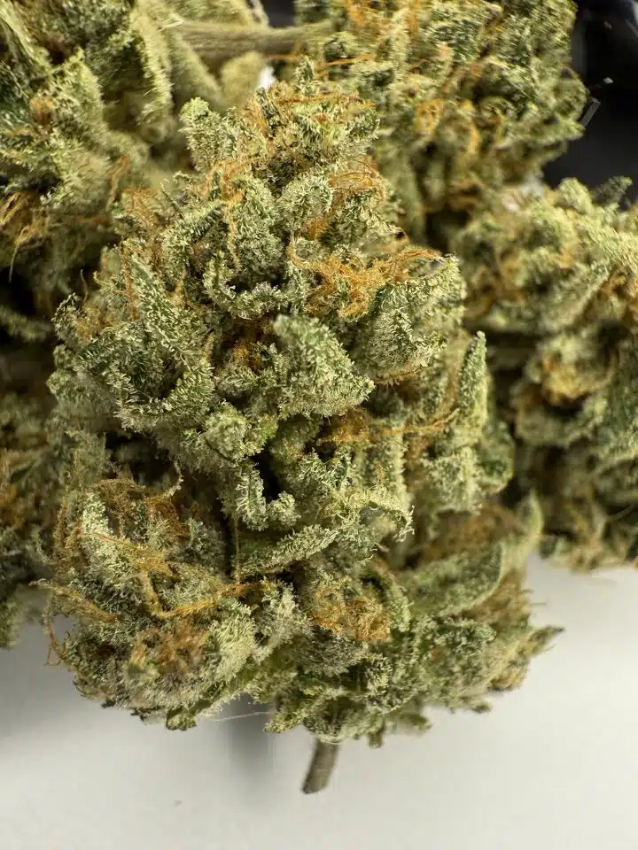 Zunicorn nug
