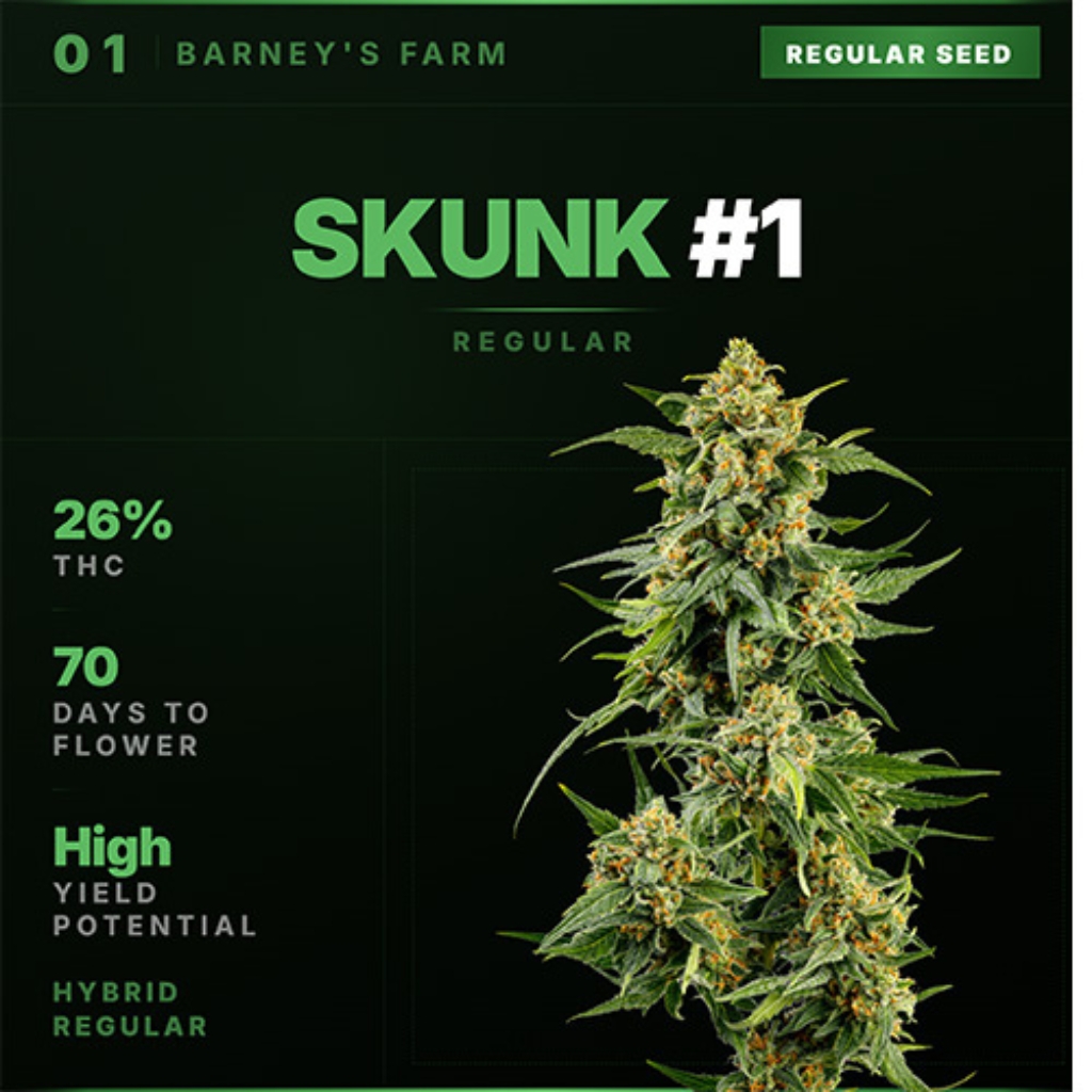 Skunk #1 Regular