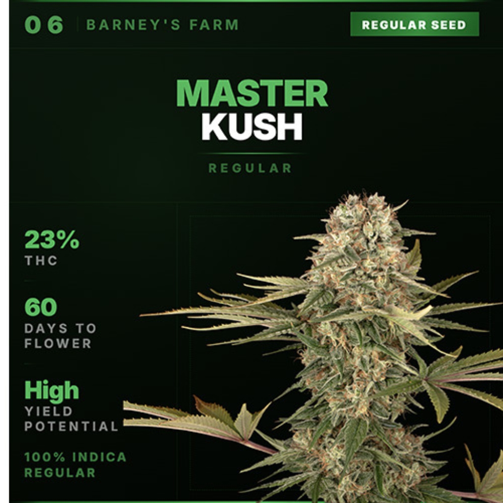 Master Kush Regular