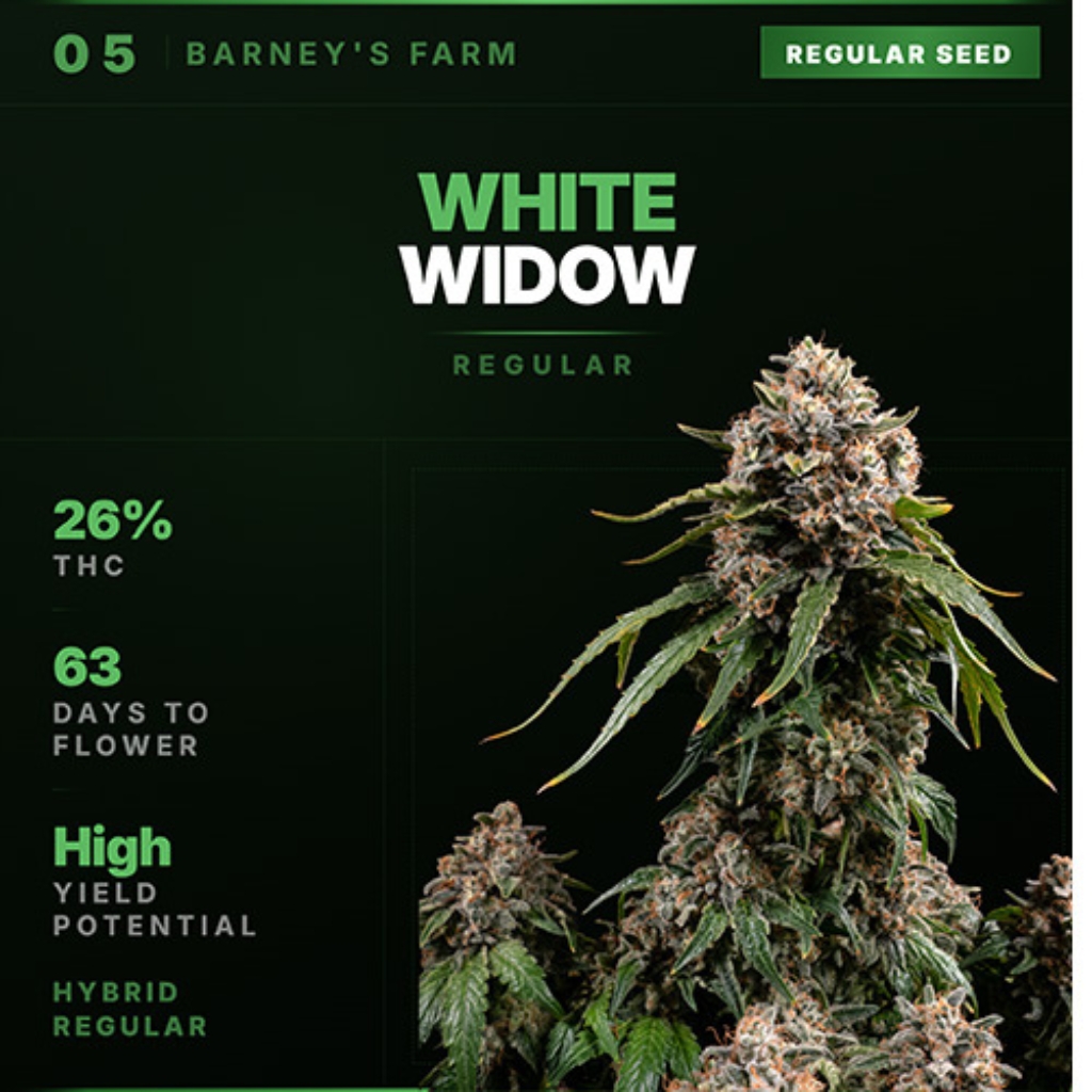 White Widow Regular