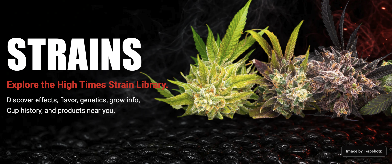 High Times Strains