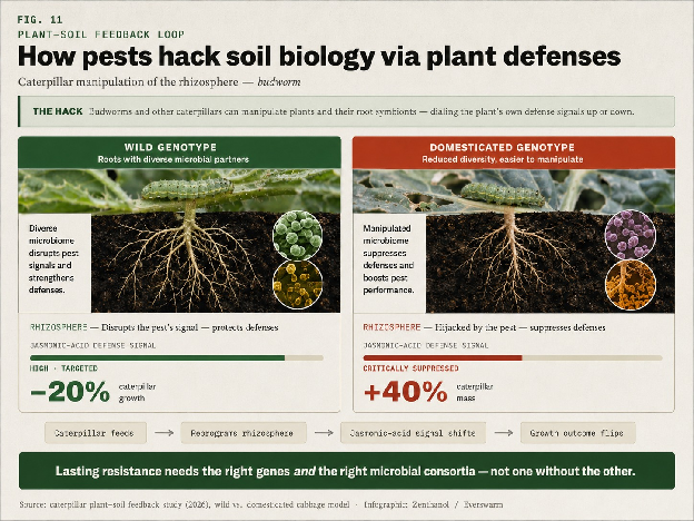 The invisible war: pests actively hack your soil biology. Caterpillar