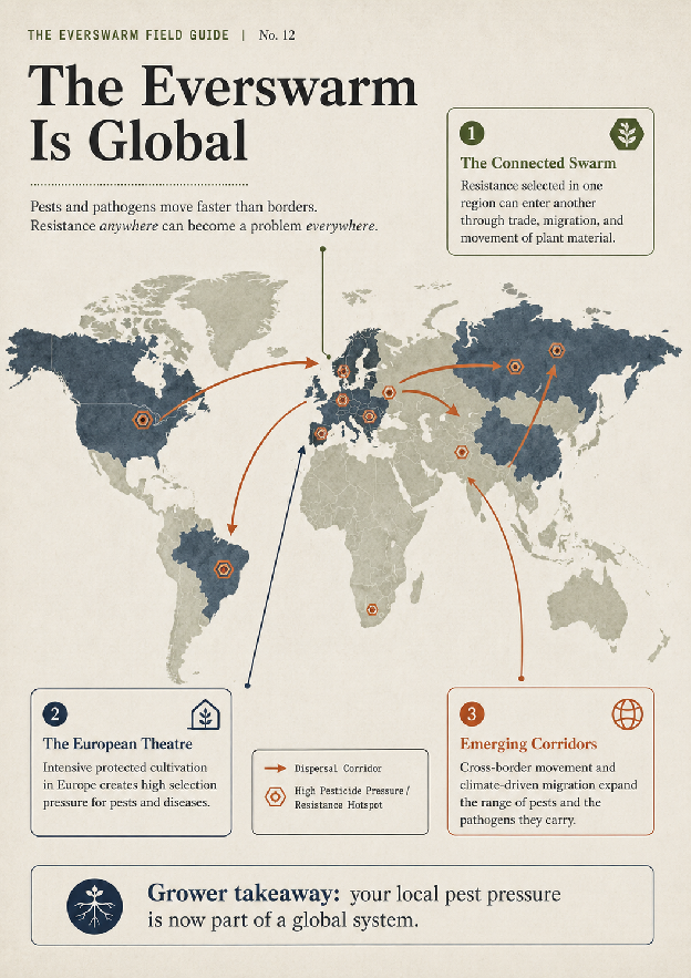 The Everswarm is global. Budworm dispersal corridors, highly-hazardous