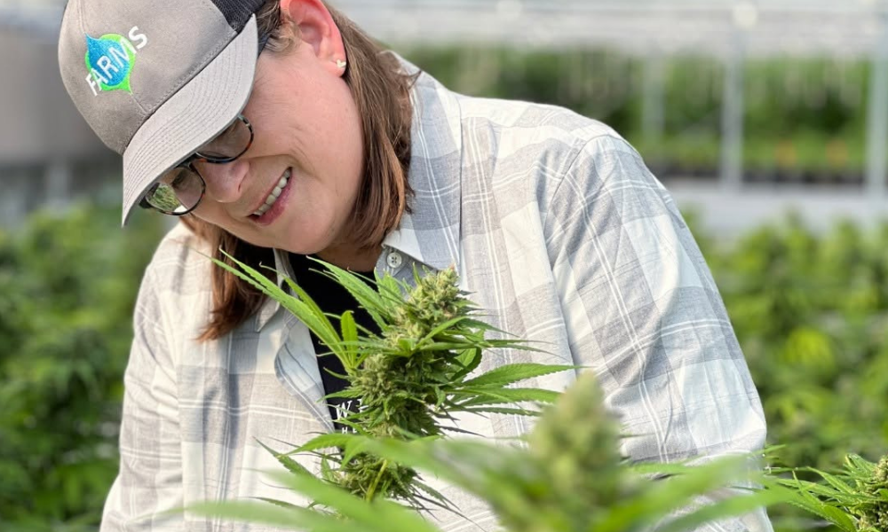 A Treadwell Farms grower inspecting a hemp plant