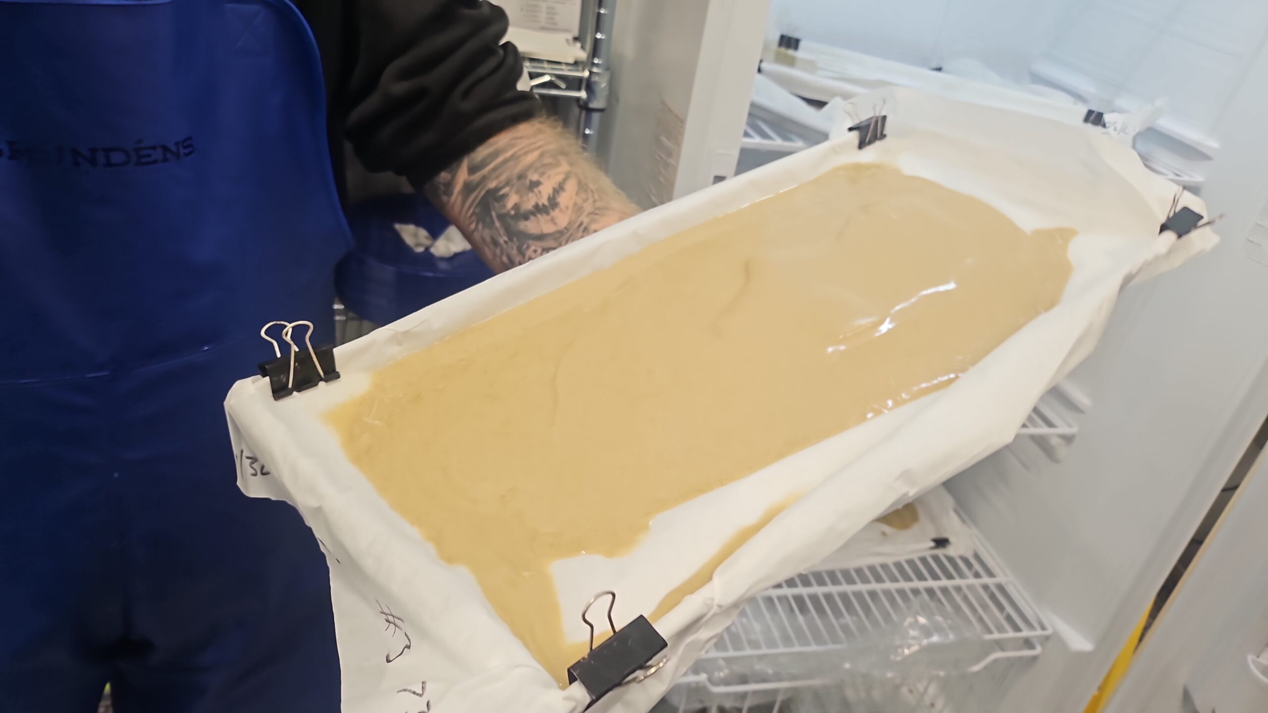 Jetty Extracts. Photo by Brittany Somerset.