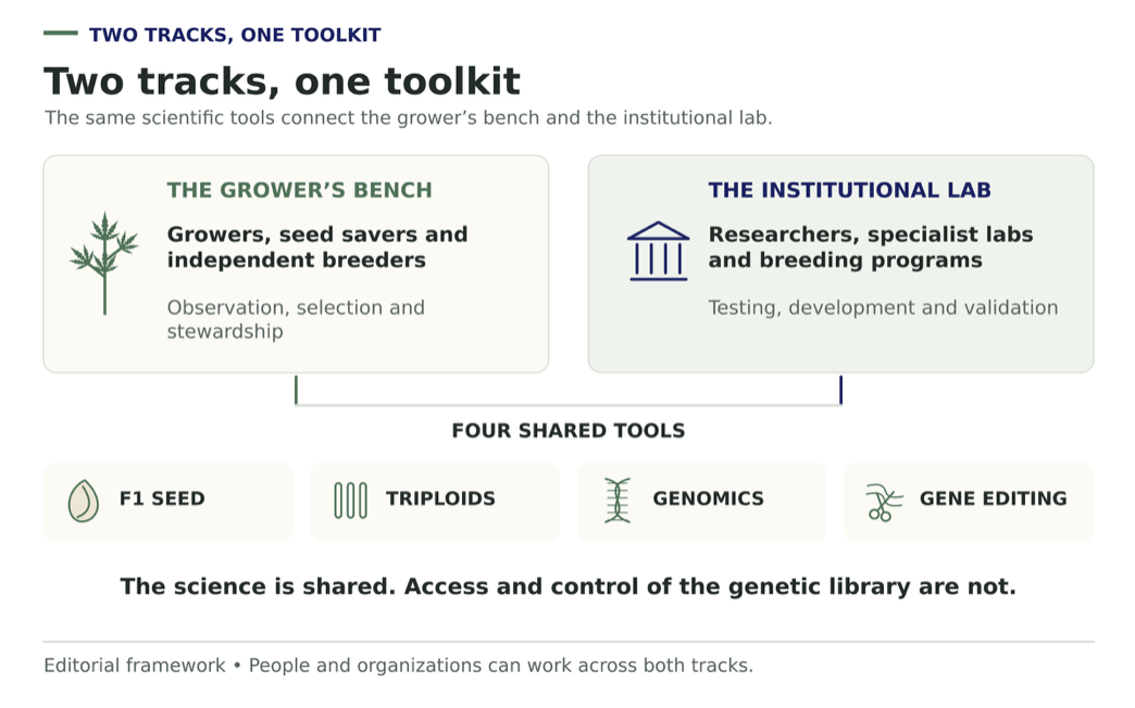 Two diagram panels, the grower's bench and the institutional lab, above four shared tools: F1 seed, triploids, genomics and gene editing.