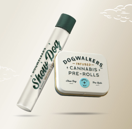 Dogwalkers supplied product photograph for Show Dogs